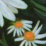 painting detail by Alexandria Levin
