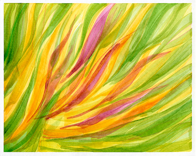 watercolor painting by Alexandria Levin
