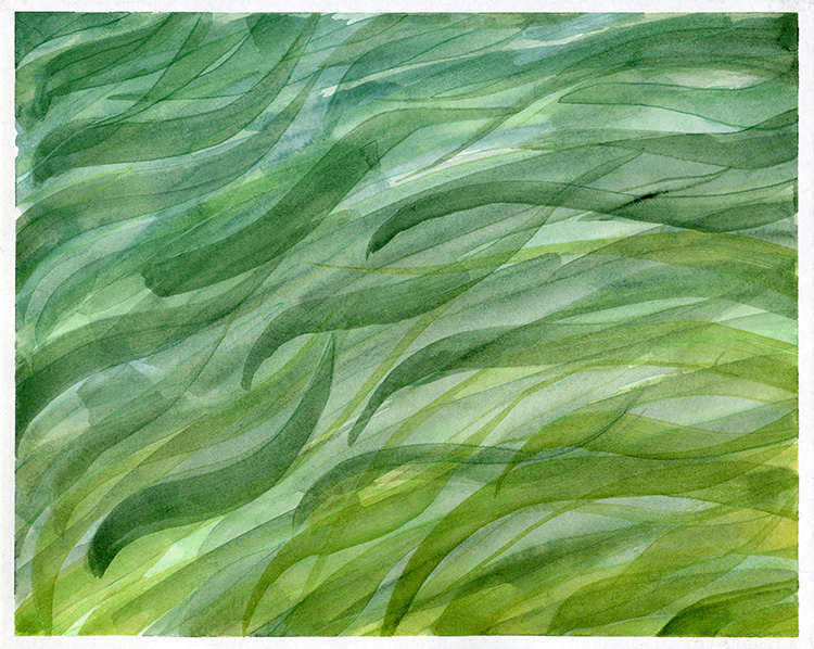 watercolor painting by Alexandria Levin