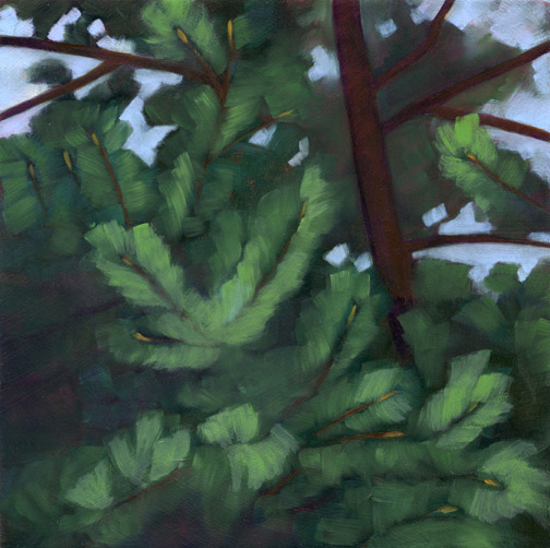 Evergreen - Oil Painting by Alexandria Levin